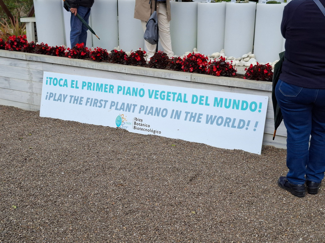 Ibiza Botánico Biotecnológico