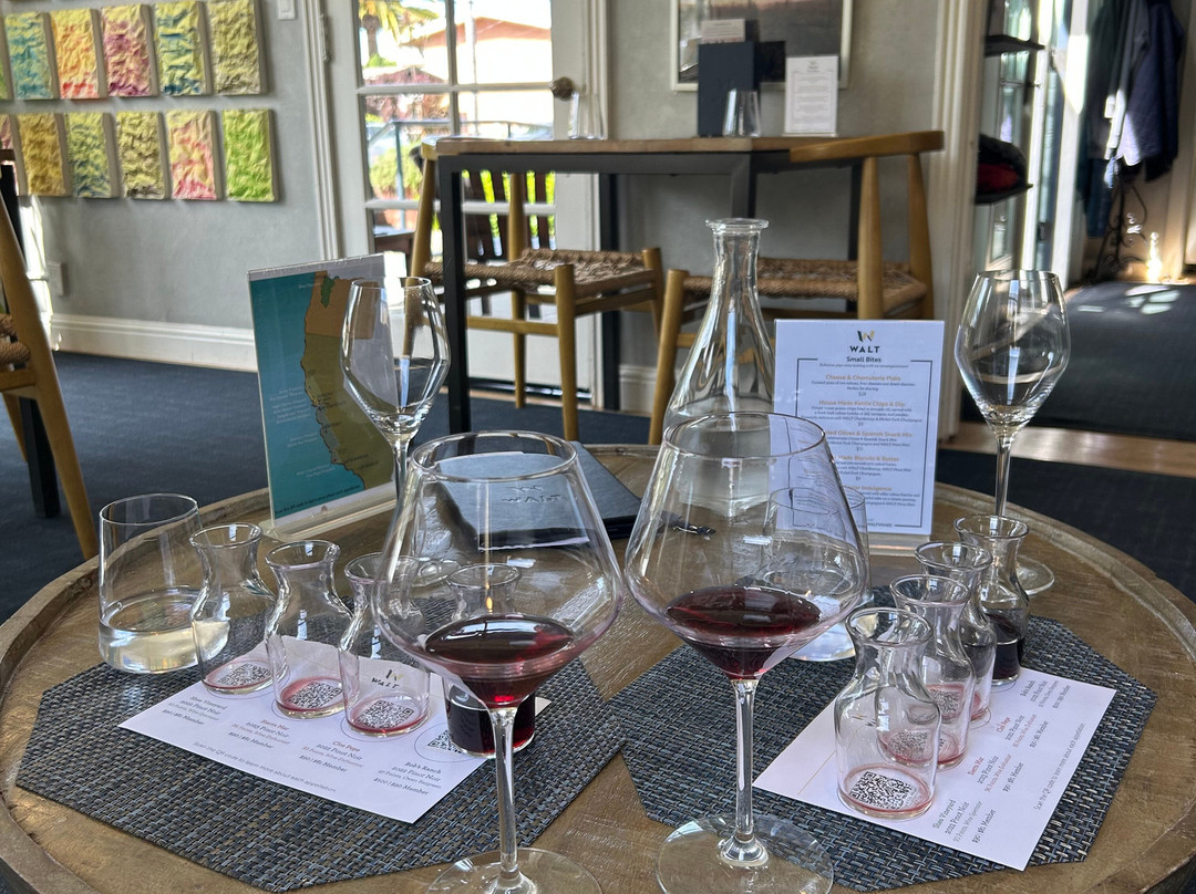 WALT Wines Sonoma-索诺玛必去景点