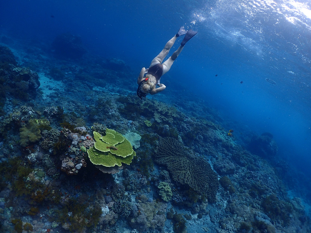 Aquaman Snorkeling Lembongan-蓝梦岛必去景点