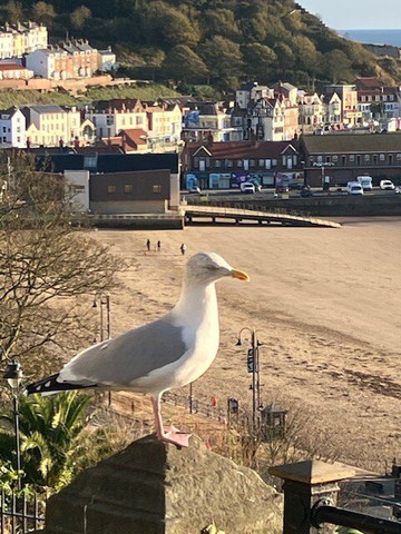 斯卡波罗海滩-斯卡伯勒必去景点