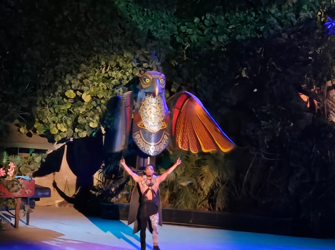 Rhythms of the Night by Vallarta Adventures-瓦拉塔港必去景点