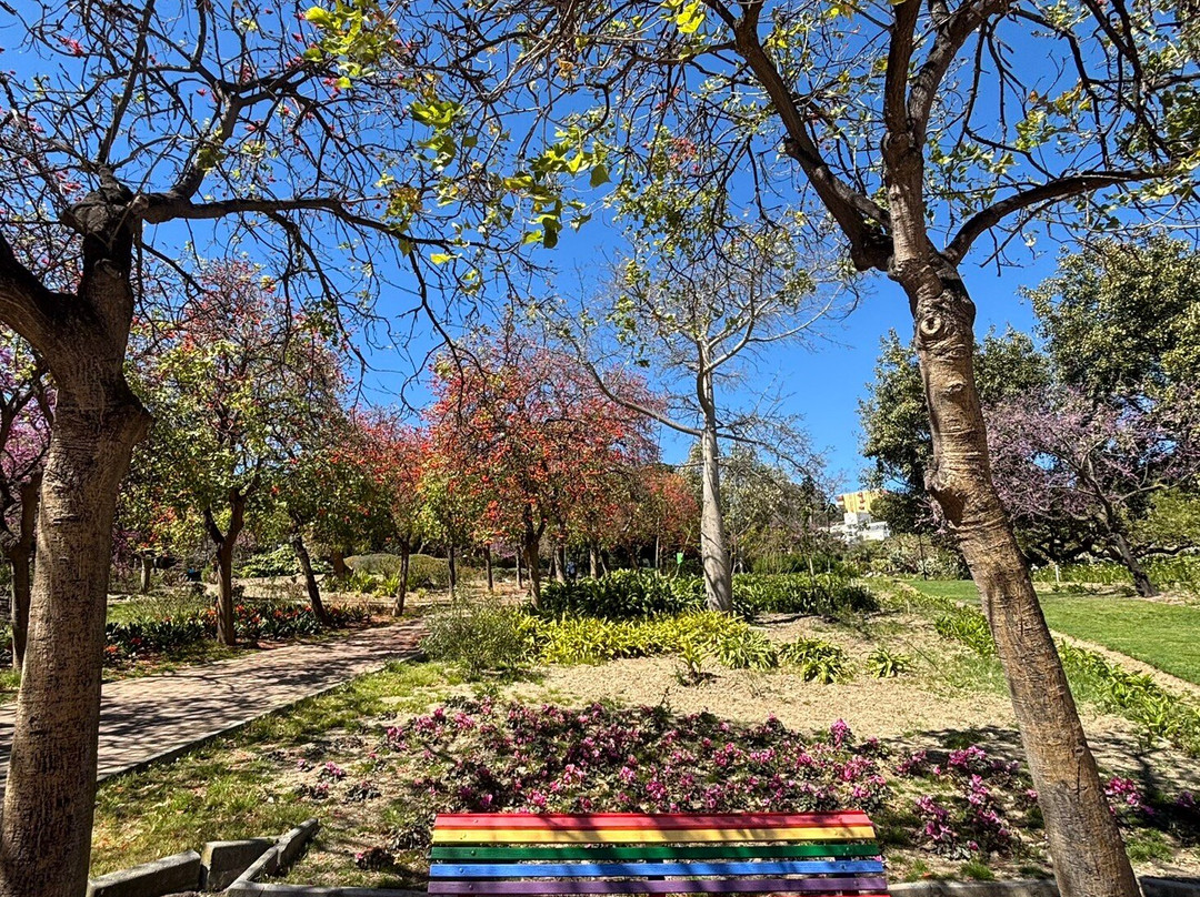 鸽子公园-班纳玛德纳必去景点