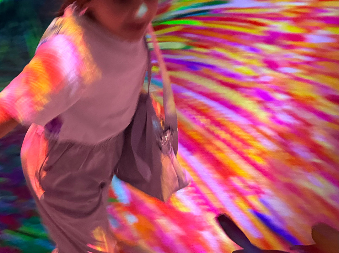 teamLab Phenomena Abu Dhabi-阿布扎比必去景点