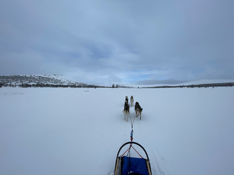 Eywa's Trails Norway-Tynset必去景点