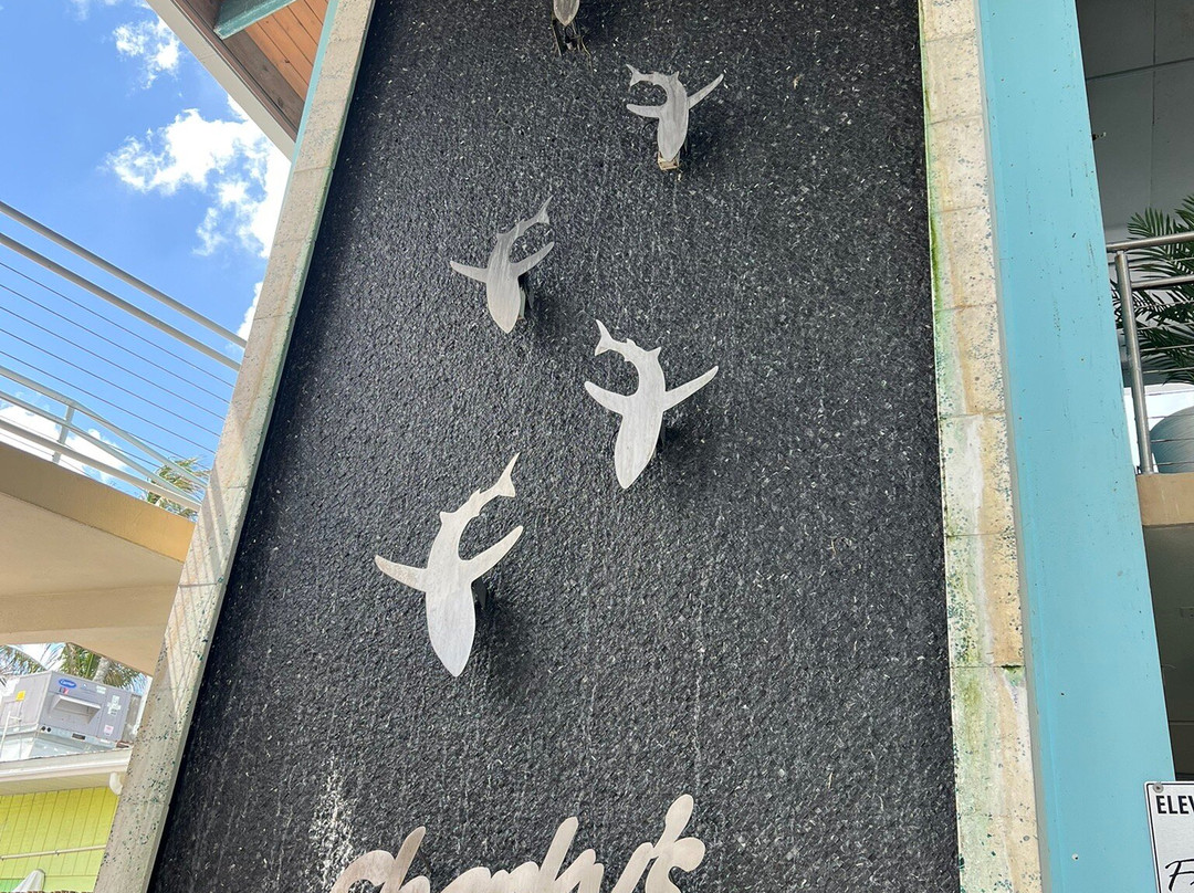 Sharky’s On The Pier-威尼斯必去景点