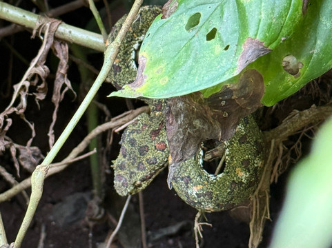 Destination Services CR-利比里亚必去景点