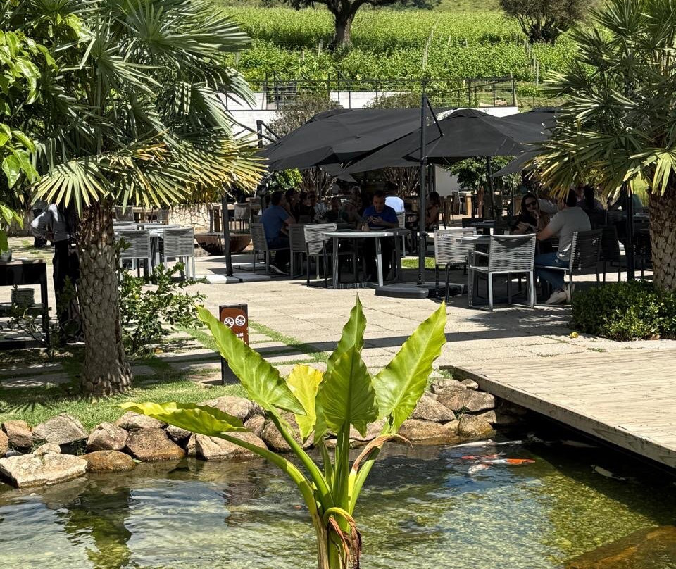 Vinícola Amana-Espirito Santo Do Pinhal必去景点