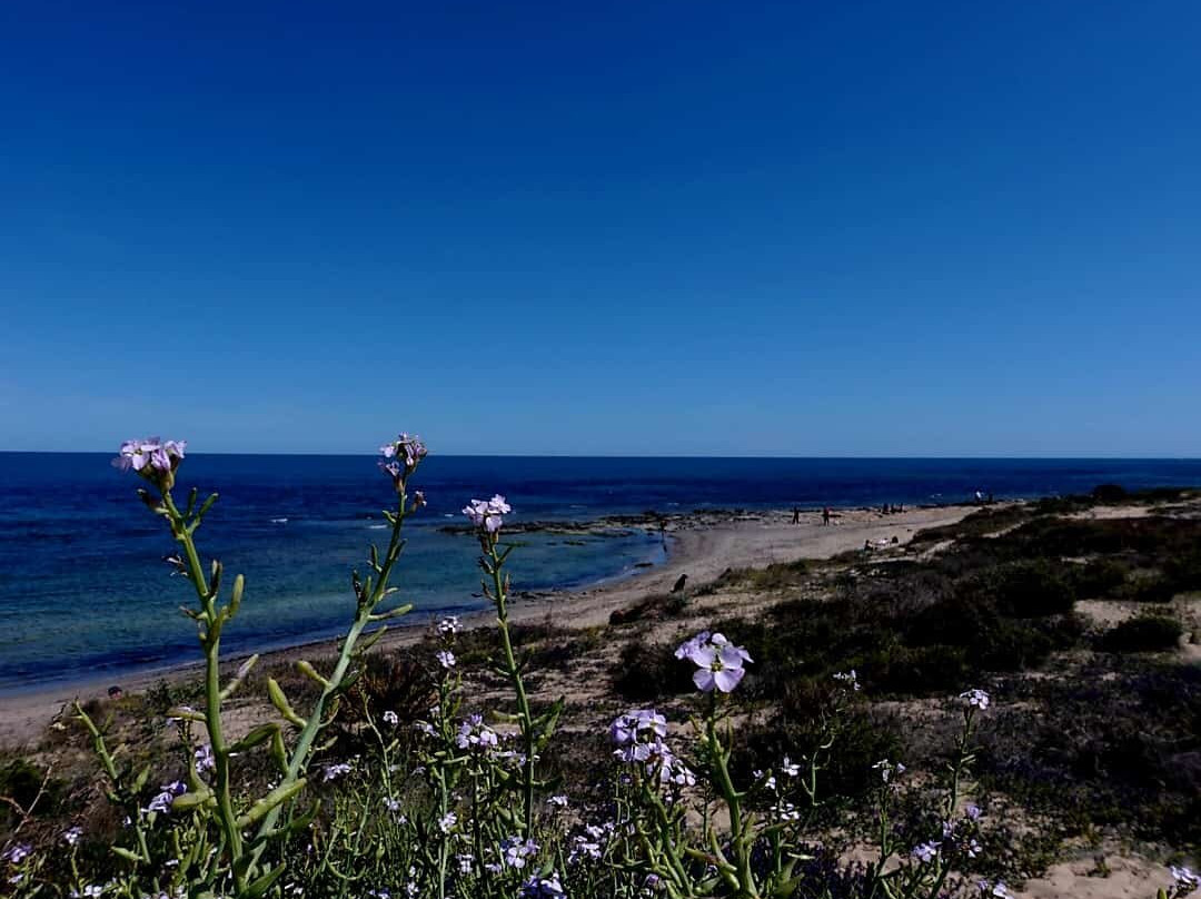Platja Del Carabassí-埃尔切必去景点