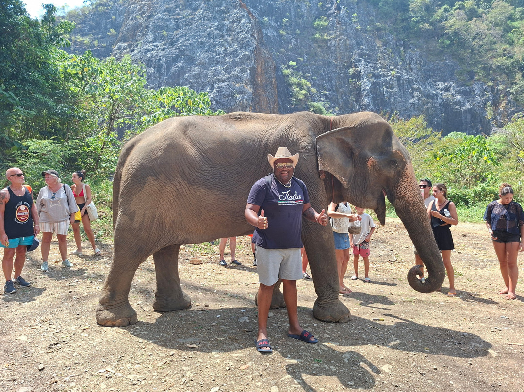 Krabi Elephant Sanctuary-甲米必去景点