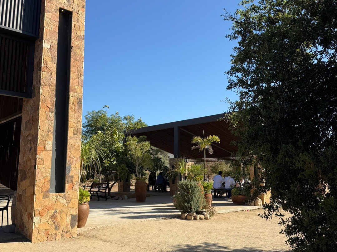 Baja California Wine Tours-圣地亚哥必去景点