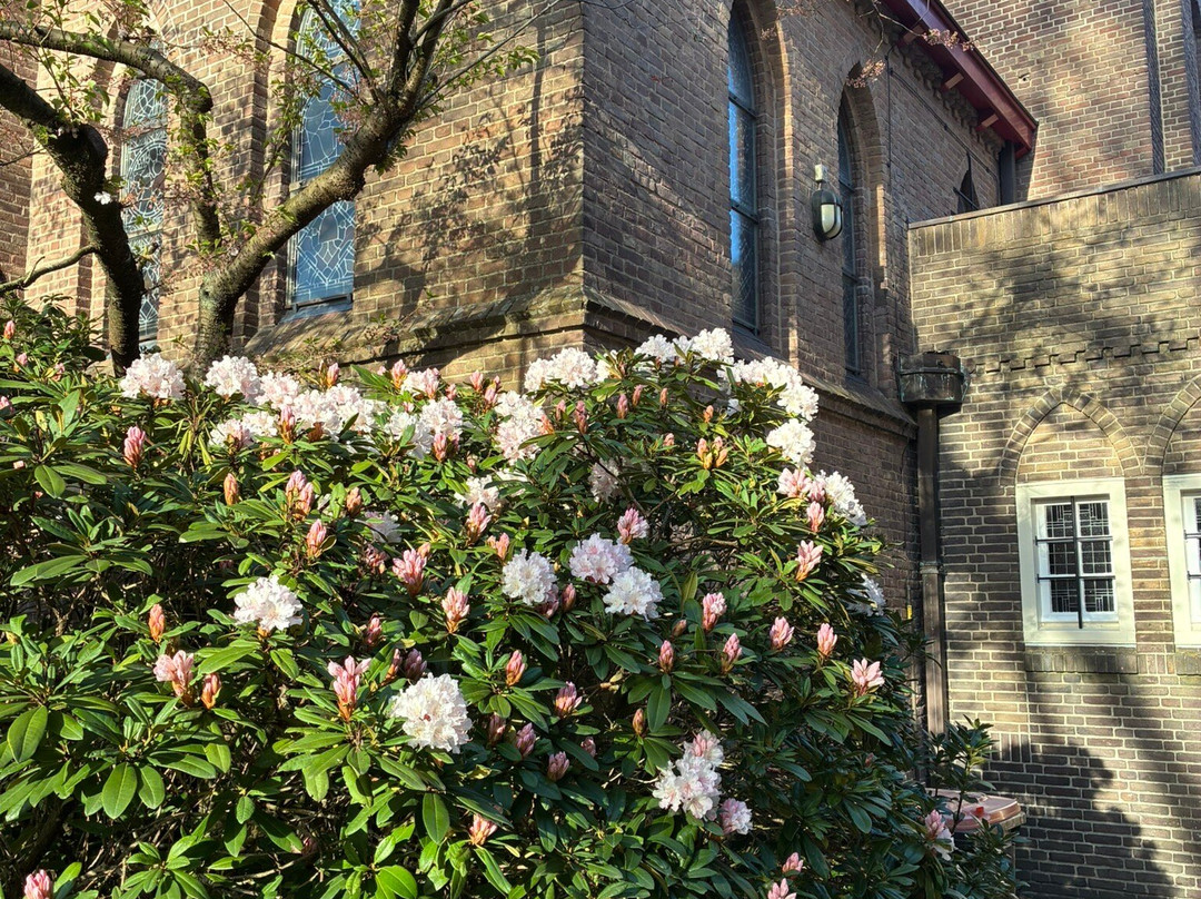 St Jansbasiliek-Laren必去景点