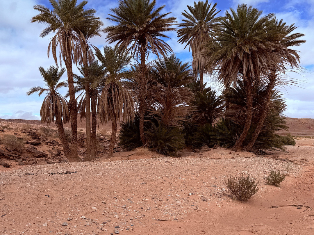 Marvelous Morocco-卡萨布兰卡必去景点