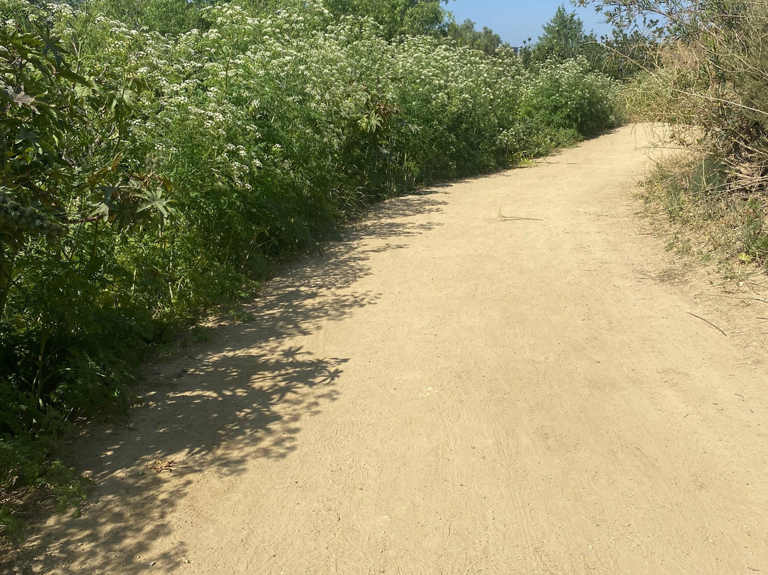 Carbon Canyon Regional Park-Brea必去景点