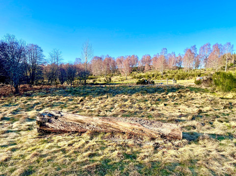 Glen Tanar National Nature Reserve-Aboyne必去景点