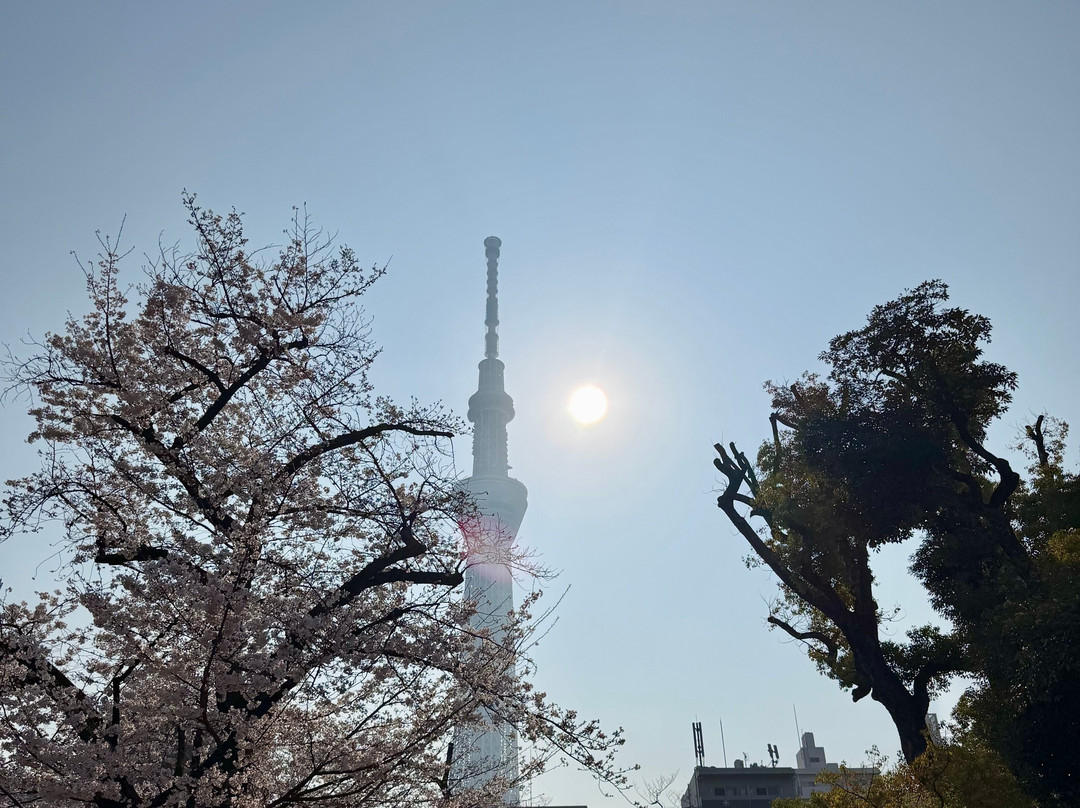 隅田公园-Mukou-jima必去景点