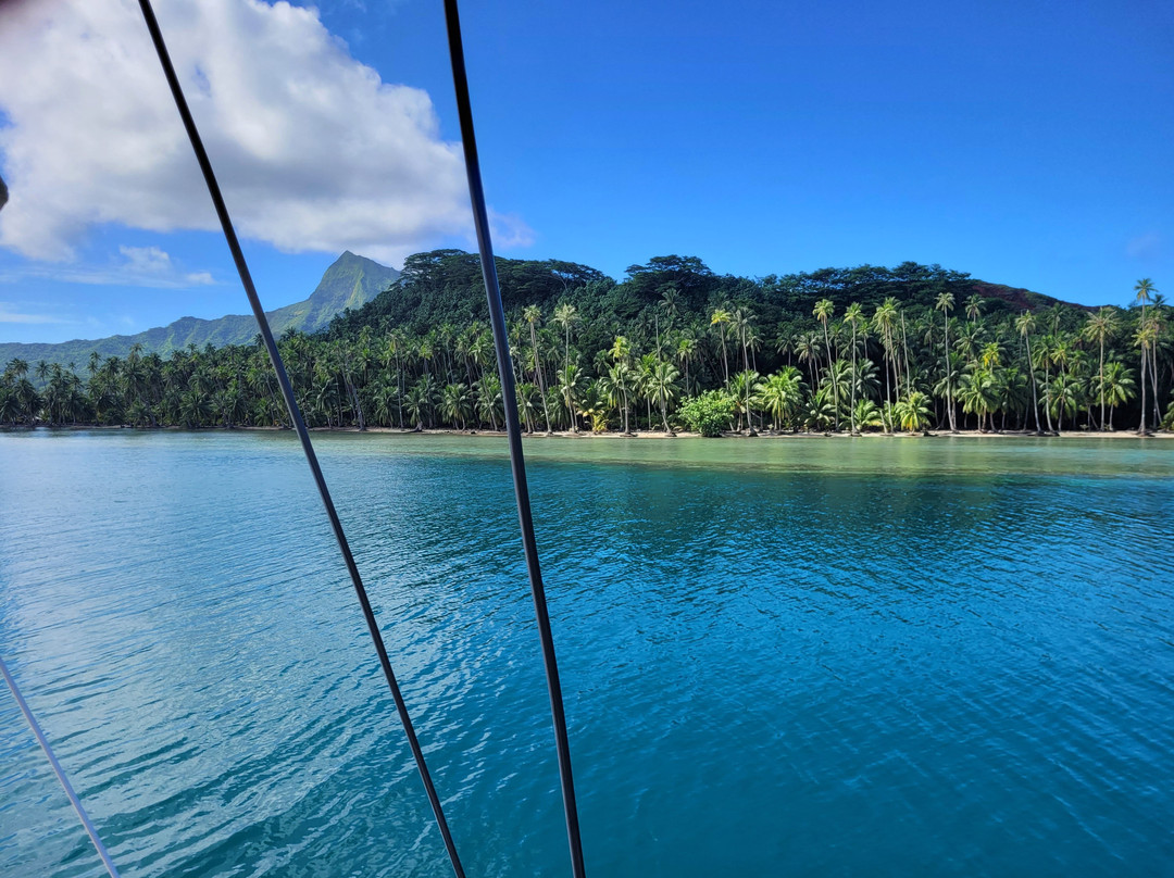 Dream Yacht Charter-Uturoa必去景点