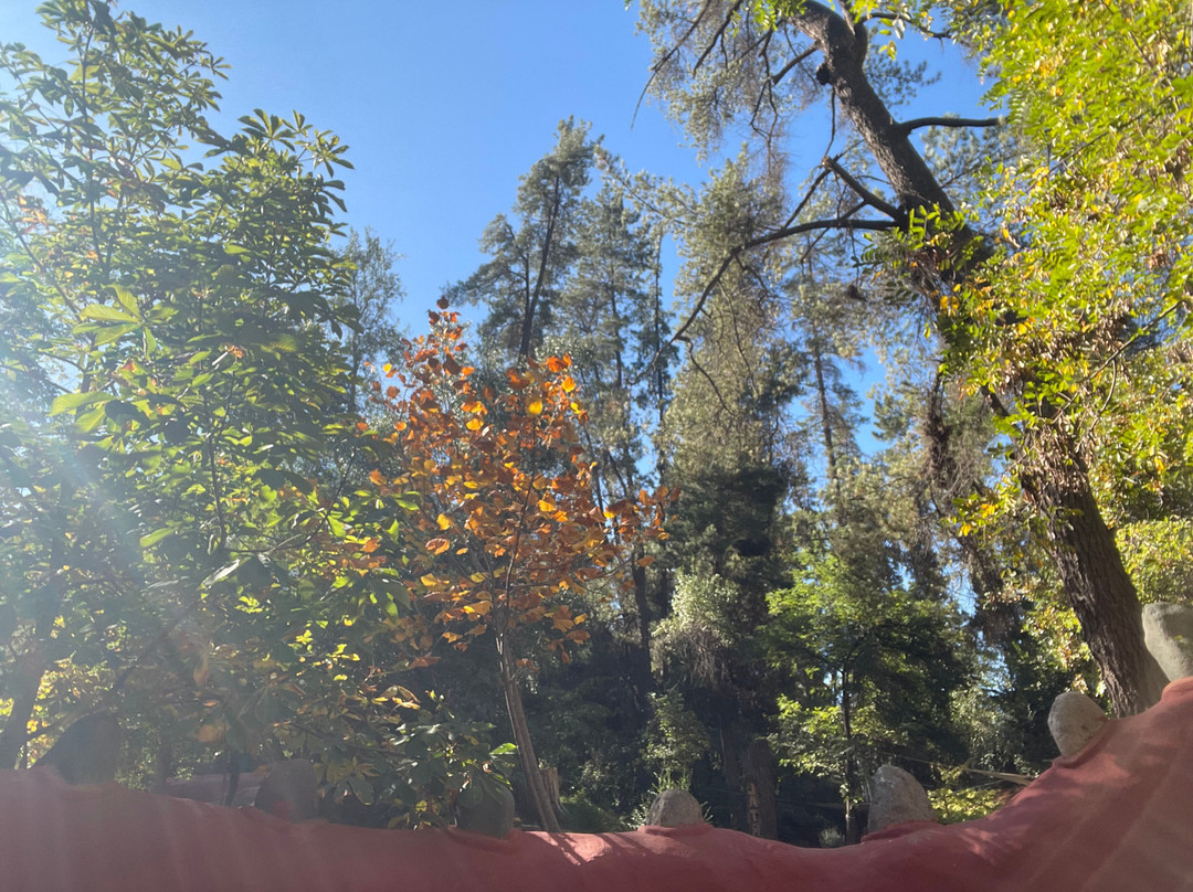 Cascada de las Animas-圣阿方索必去景点