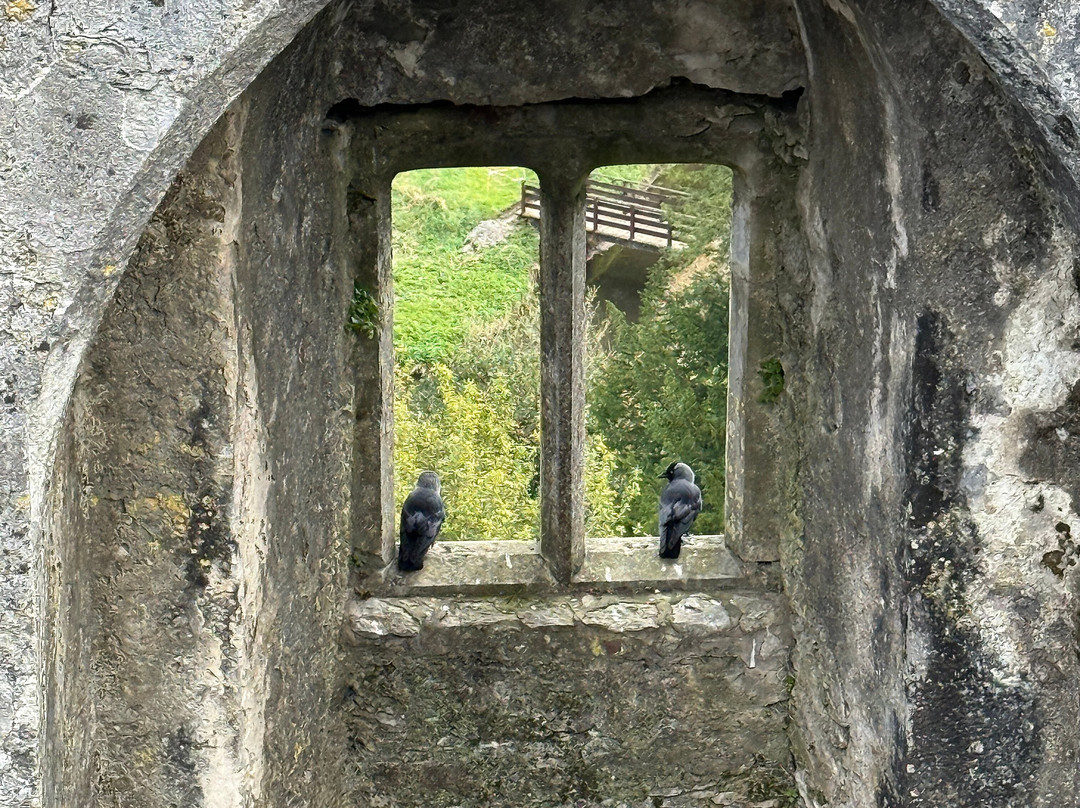 布拉尼城堡及花园-Blarney必去景点