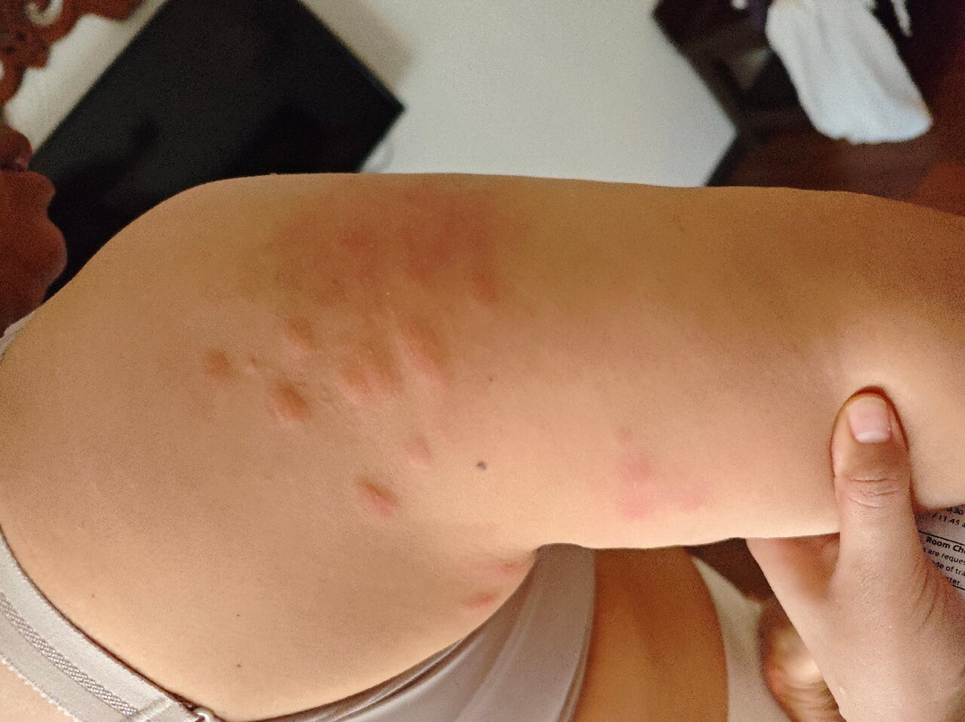 热浪岛拉古娜度假村主图