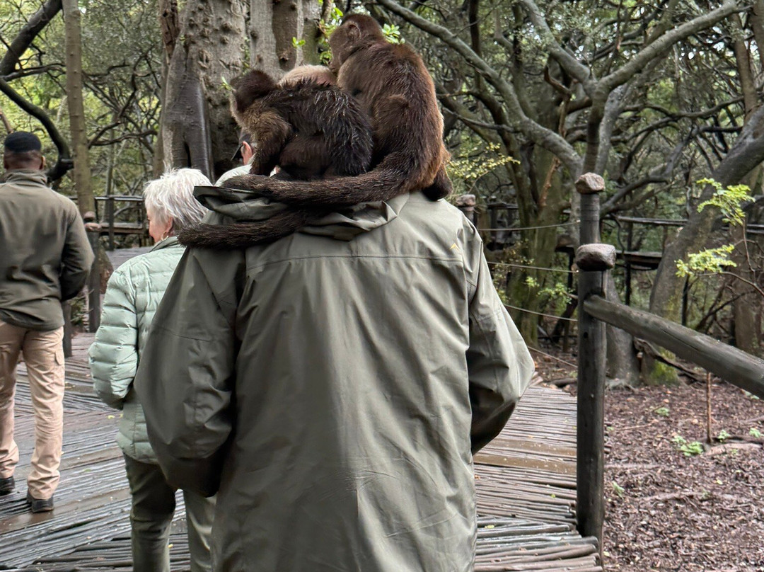 Bush Babies Monkey Sanctuary-哈特比斯普特必去景点