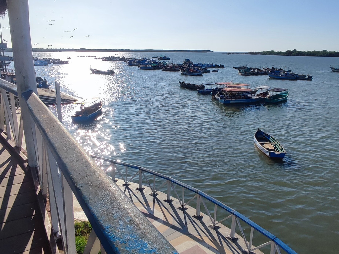 Los Manglares de Puerto Pizarro-Tumbes必去景点