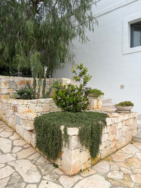 玛赛丽雅萨里诺拉酒店-旅行者