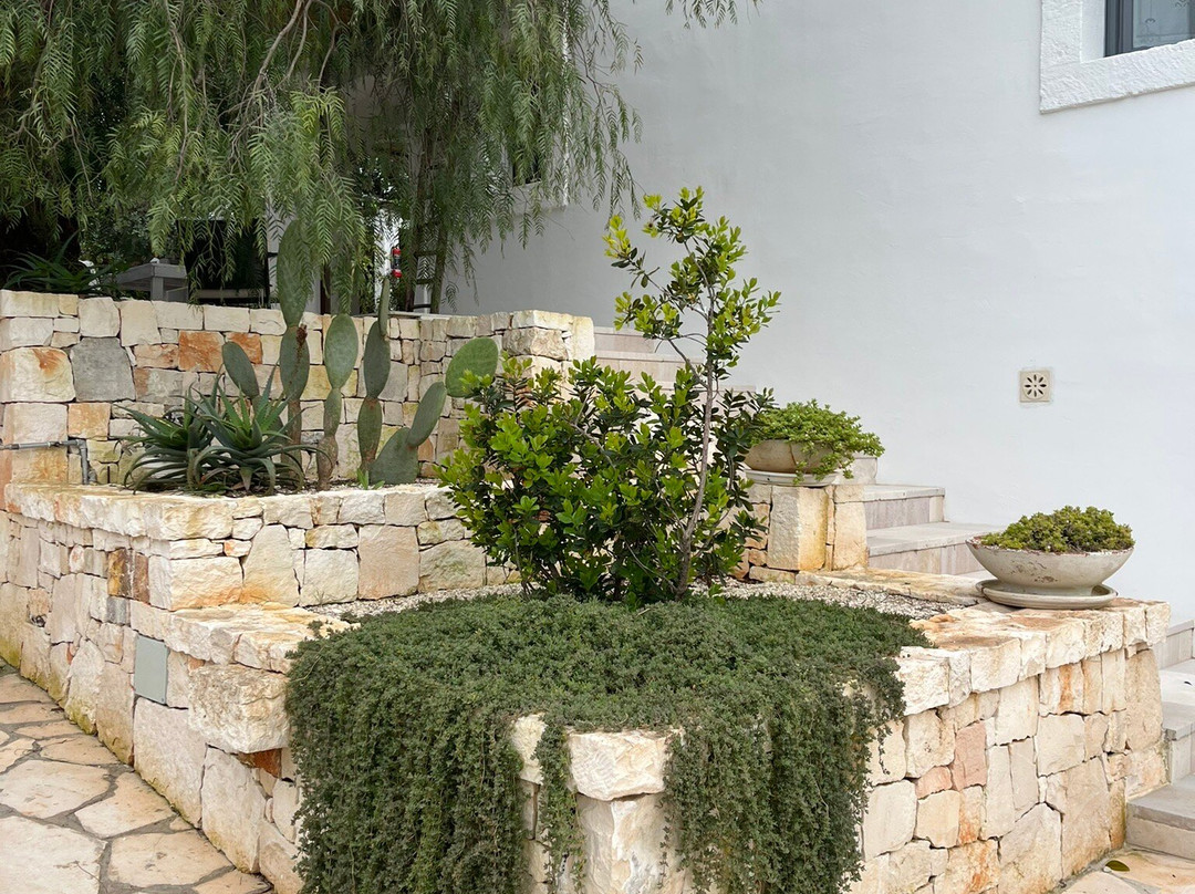 玛赛丽雅萨里诺拉酒店主图