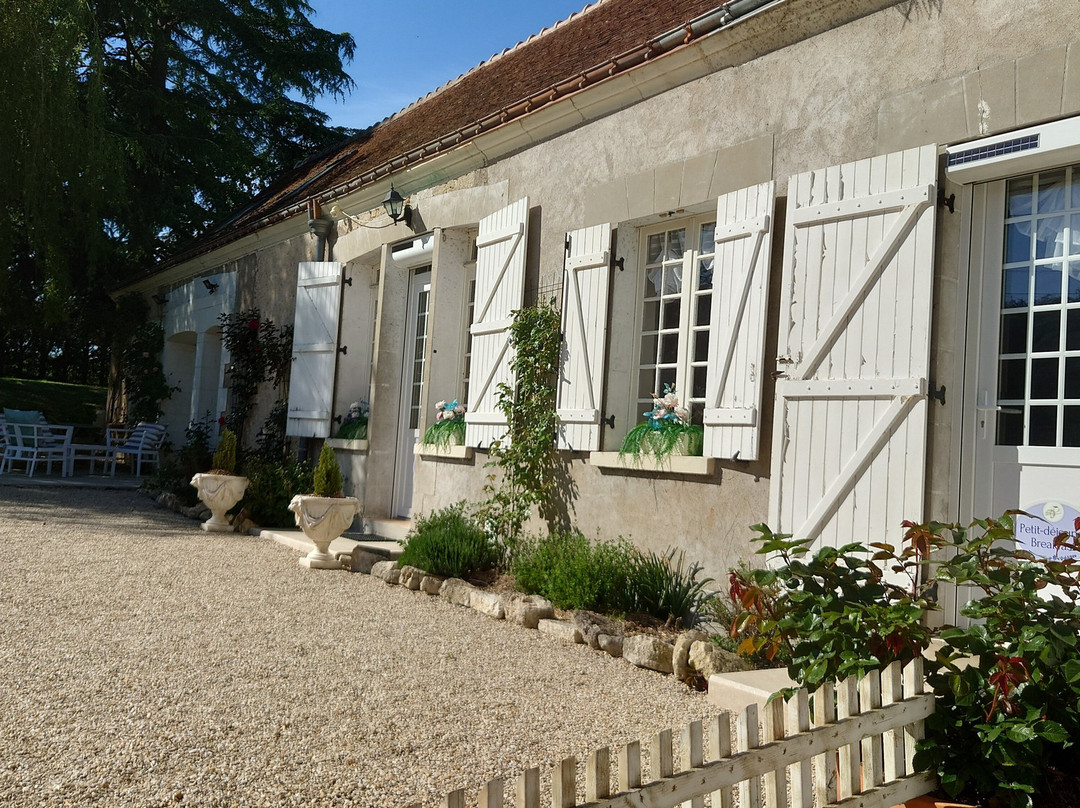 Sans Souci Bed and Breakfast Luxe Heated Pool and Restaurant主图