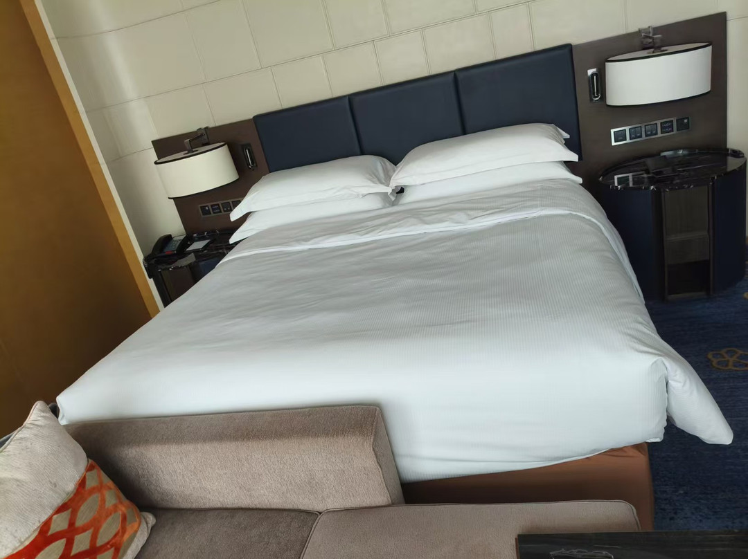 济南绿发希尔顿酒店及公寓主图