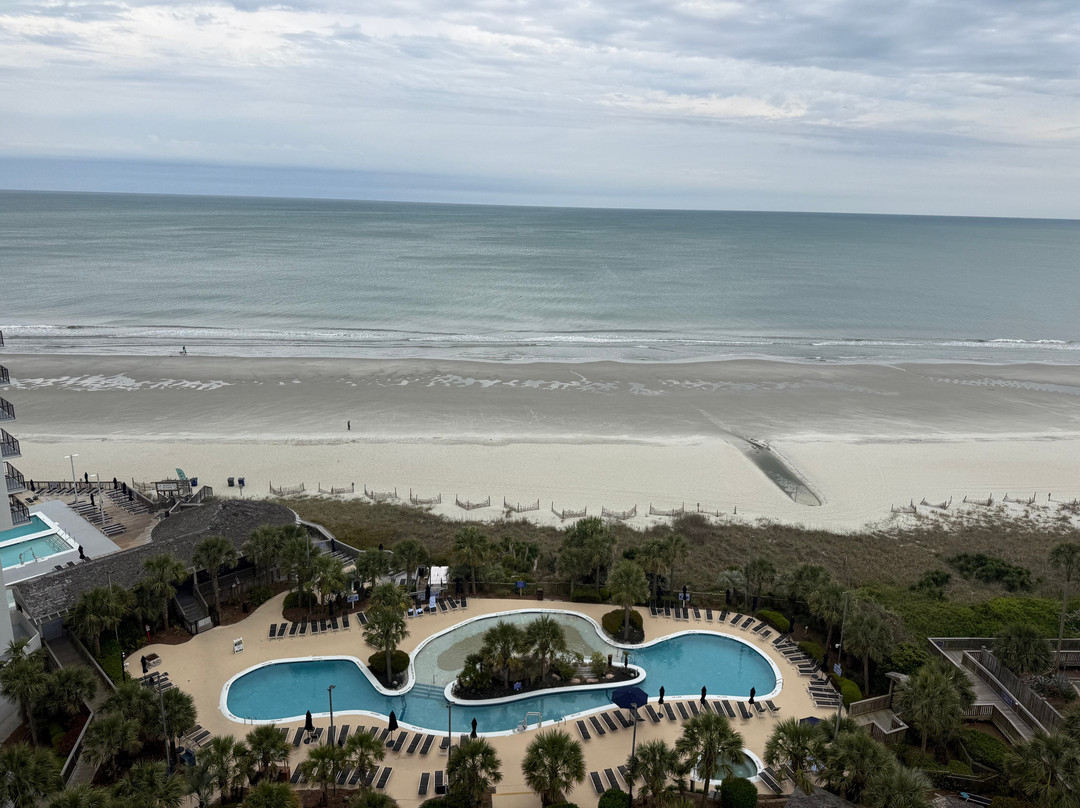 皇家棕榈公寓主图