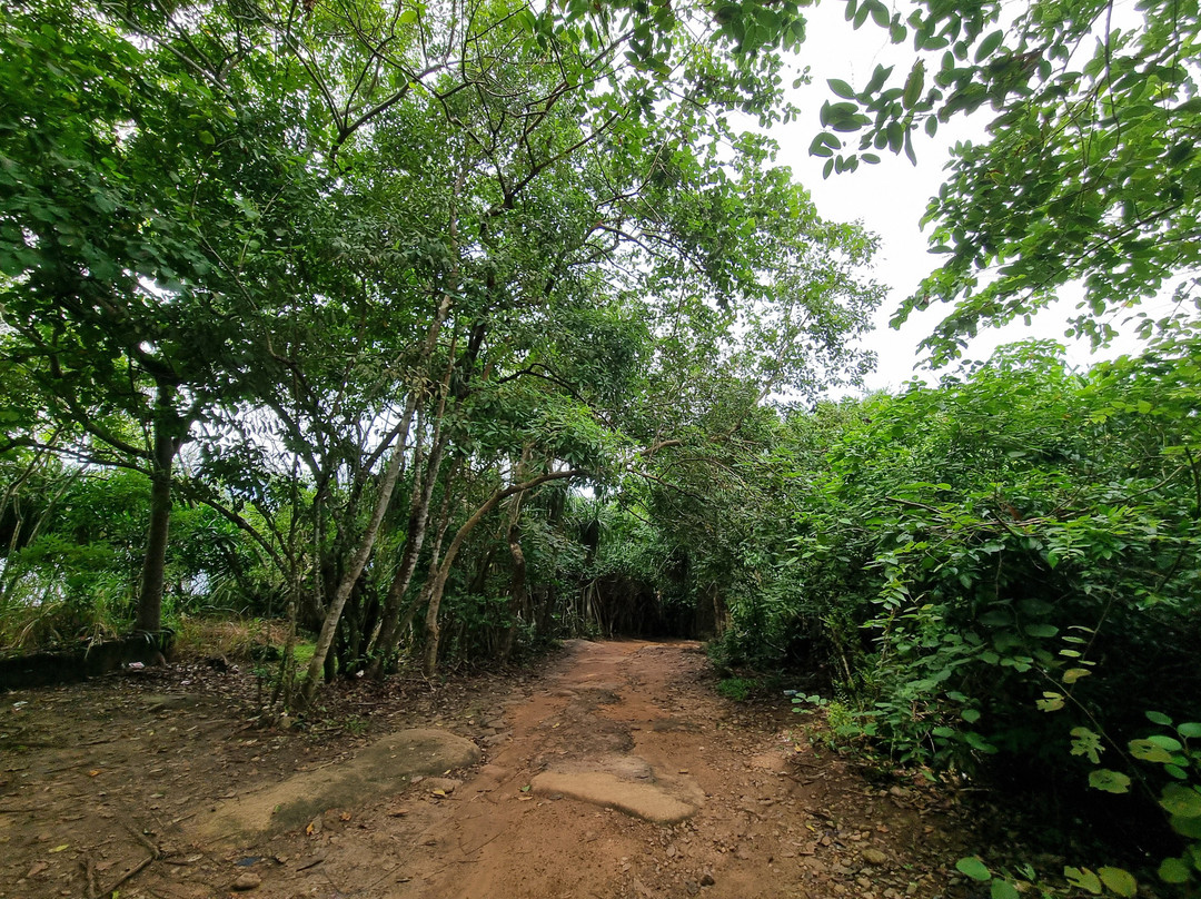 丛林海滩-乌纳瓦图纳必去景点