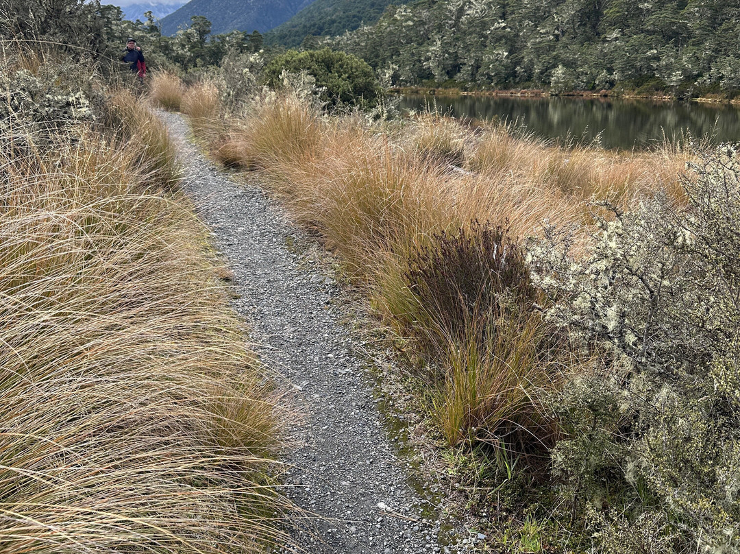 Alpine Nature Walk-Springs Junction必去景点