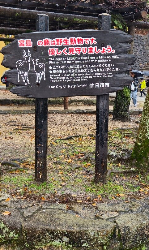 宫岛町-廿日市市必去景点