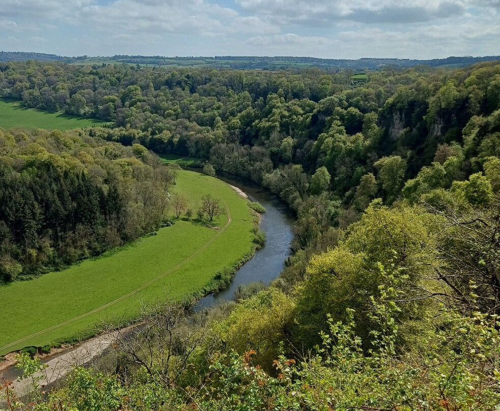 Symonds Yat Rock-Coleford必去景点