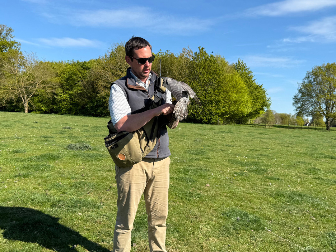 Kent Falconry Centre-Throwley必去景点