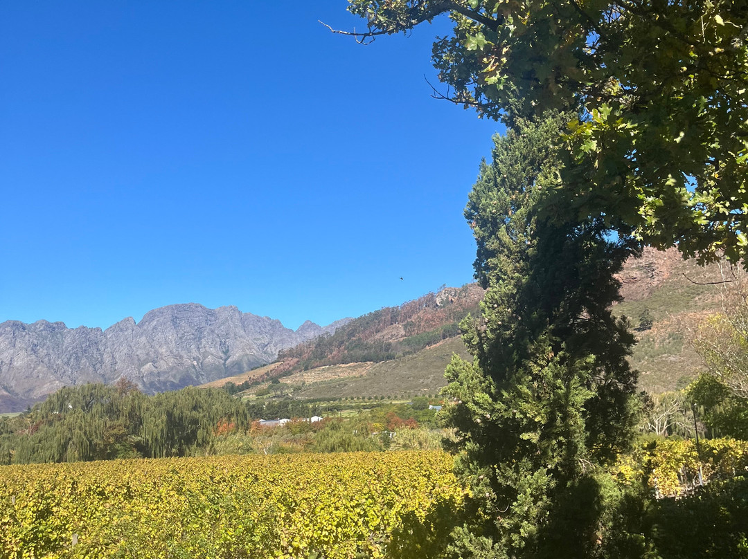 Franschhoek Wine Tram-法兰舒克必去景点