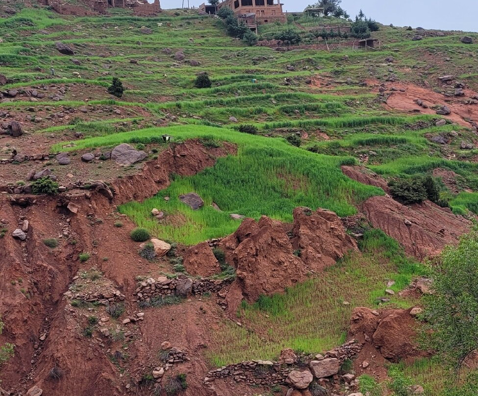 Morocco Inspiring Tours-马拉喀什必去景点