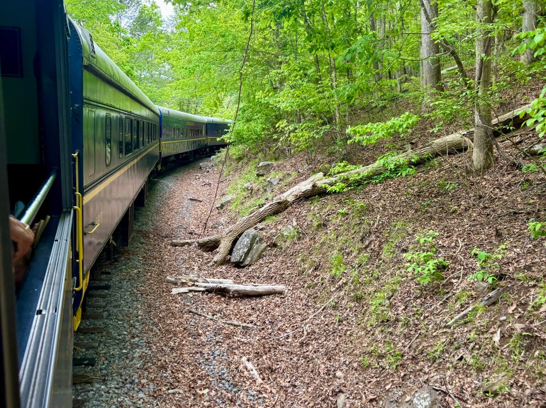 Blue Ridge Scenic Railway-蓝岭必去景点