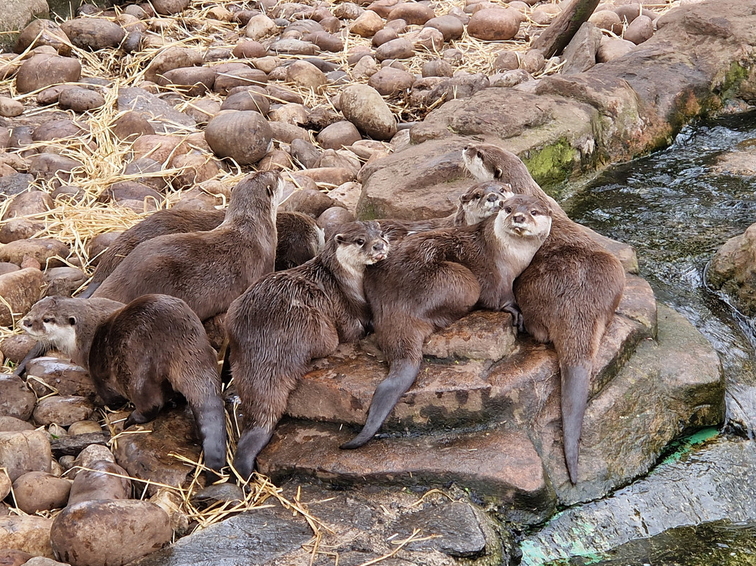 Five Sisters Zoo-West Calder必去景点