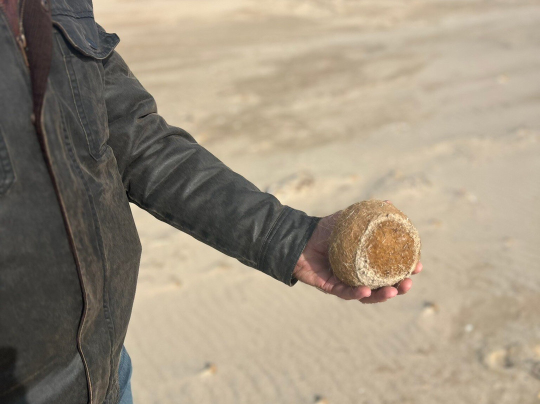 Spirit of the Coorong Cruises-Goolwa必去景点