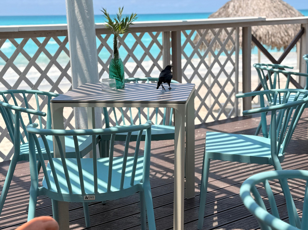Iberostar Selection Varadero主图