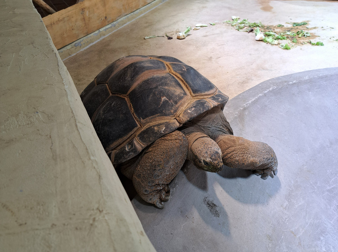 Zoo Osnabrück-奥斯纳布吕克必去景点