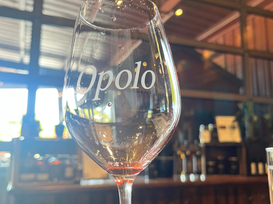 The Inn at Opolo主图