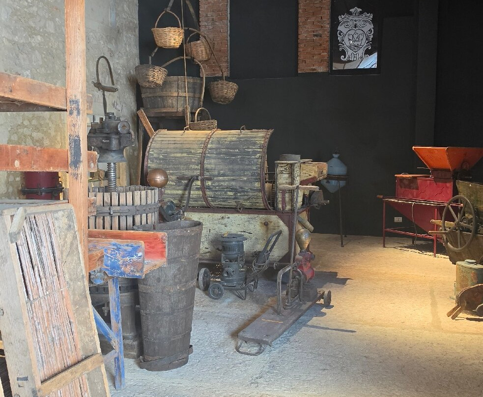 Museo del Vino-Illasi必去景点