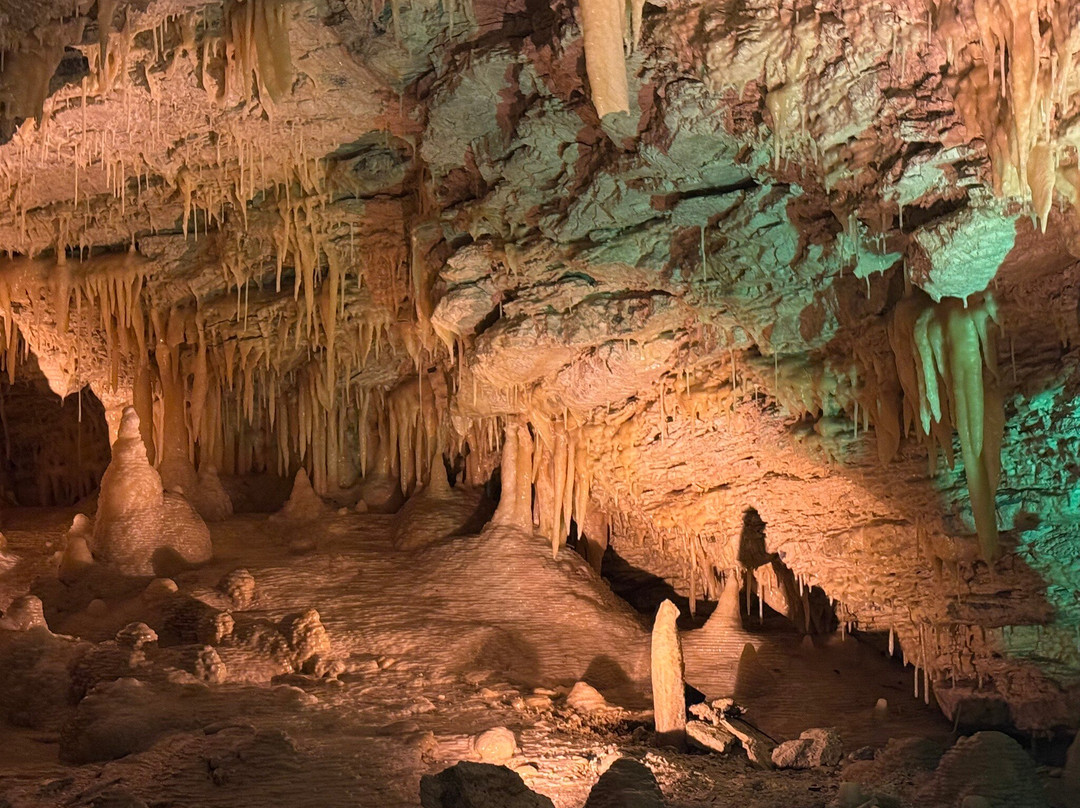 Kaikōura Cave Tours-Kaikoura必去景点