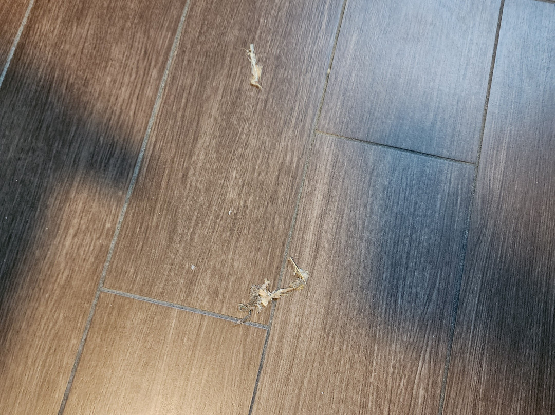 法拉利酒店主图