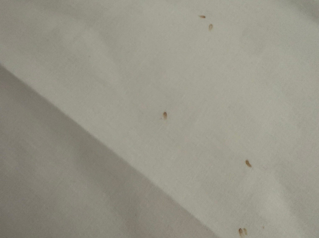托斯卡纳魅力度假村主图