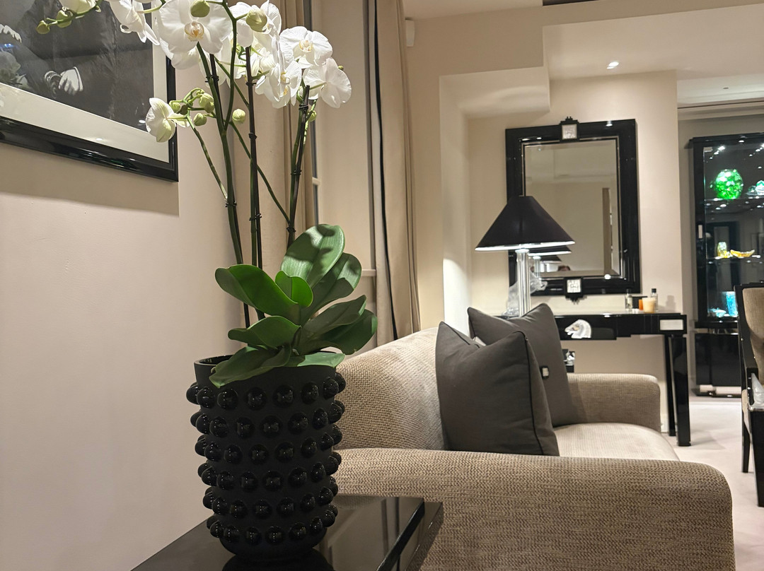 Villa Rene Lalique主图