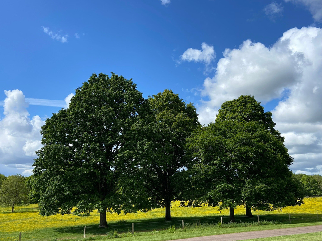 Killerton-Broadclyst必去景点