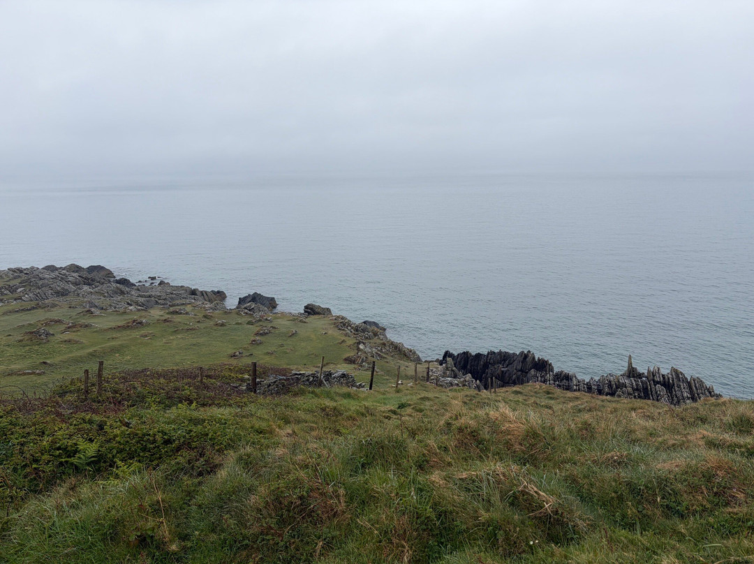 Clogherhead Headland Walk-Clogherhead必去景点